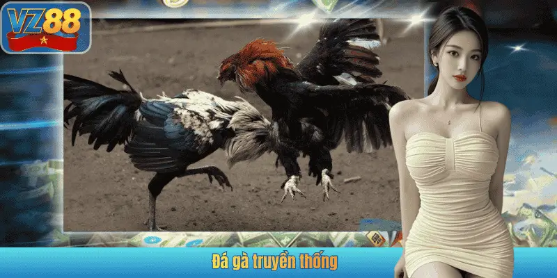 Đá gà truyền thống